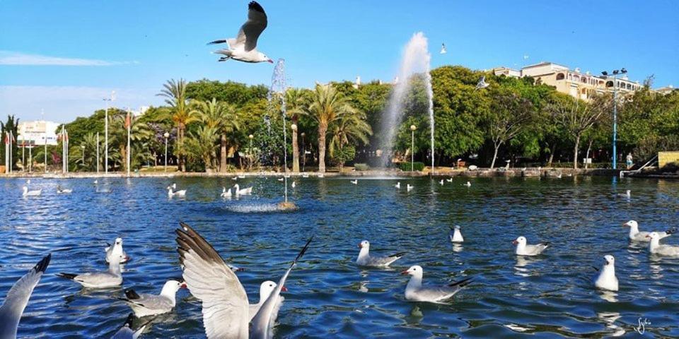 Torrevieja Experience Mar 2 Leilighet Eksteriør bilde